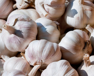 大蒜